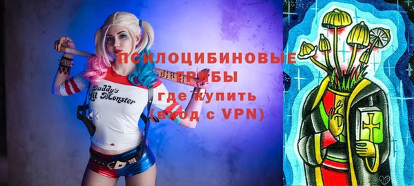 молекула духа Алексин