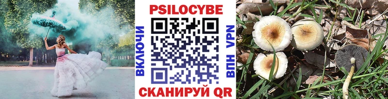 Галлюциногенные грибы Psilocybe  маркетплейс как зайти  Правдинск 